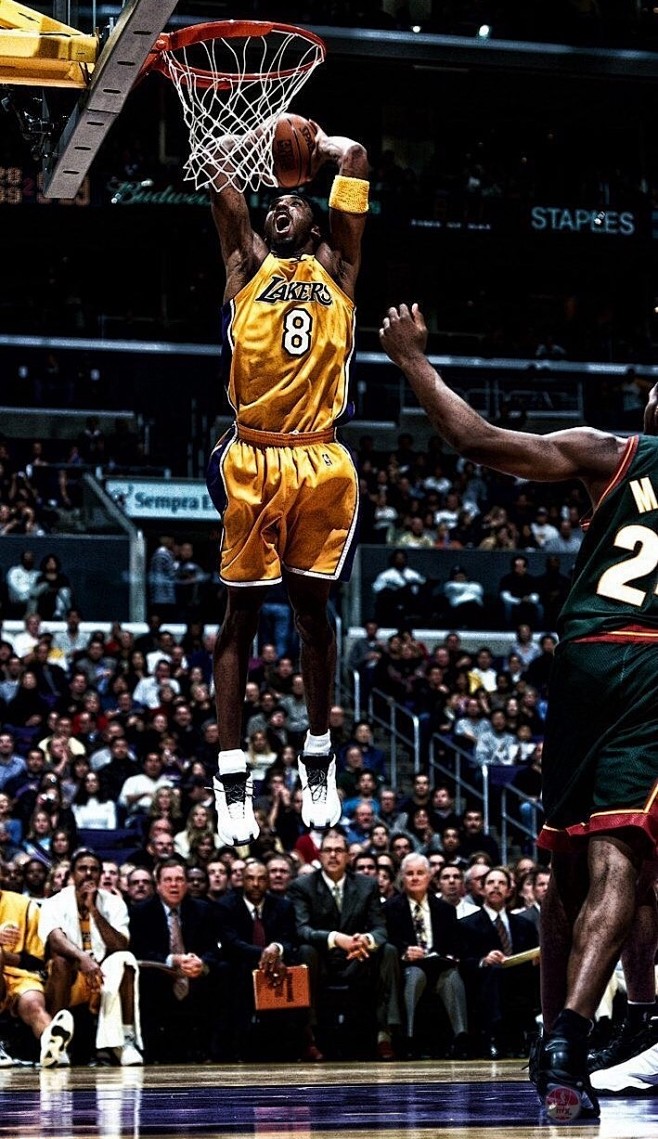 支线补齐动 支线补齐动